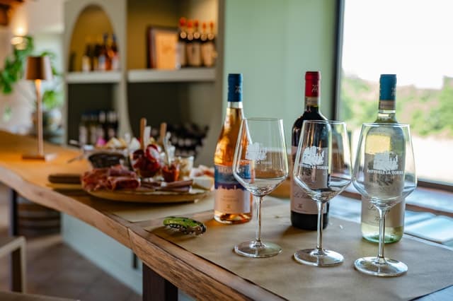 San Gimignano Wine Tasting & Tuscany Countryside