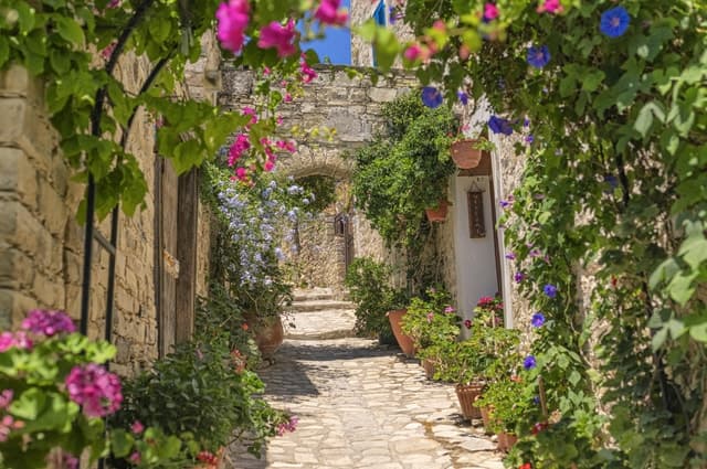Compare Top Ayia Napa Tours & Experiences