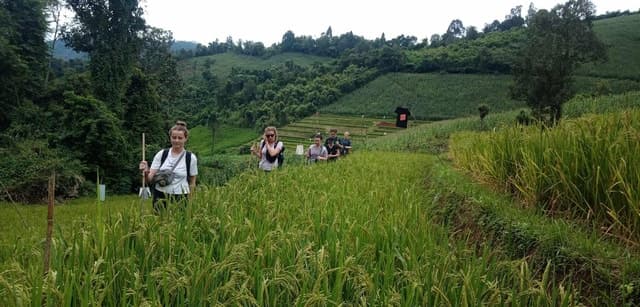 Best Chiang Mai City Tours & Cultural Experiences