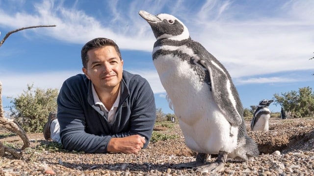 Martillo Island Penguin Tour