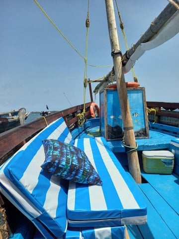 Wasini Dolphin Tour
