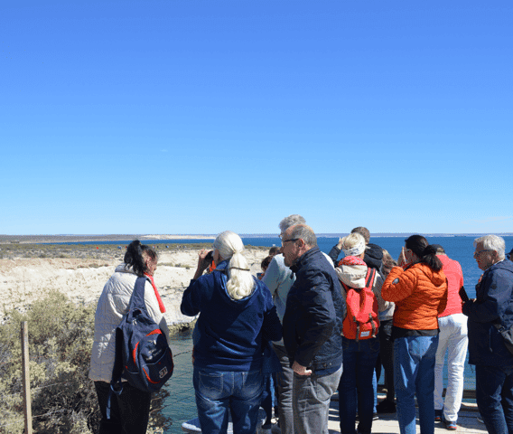 Best Punta Loma Wildlife & Coastal Tours in Puerto Madryn
