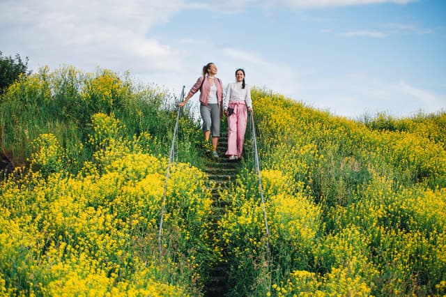 Suomenlinna Fortress Tour