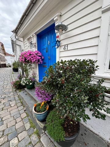 Best Stavanger Walking Tours: Explore Hidden Gems & History