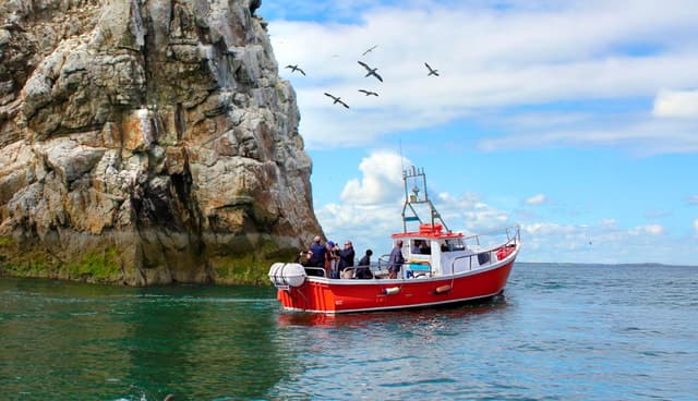 Best Howth Boat Tours: Explore Dublin's Coastal Wonders