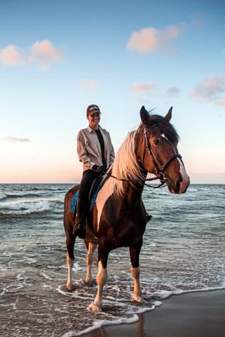 Unforgettable Horseback Riding & Local Shopping in Marsa Alam