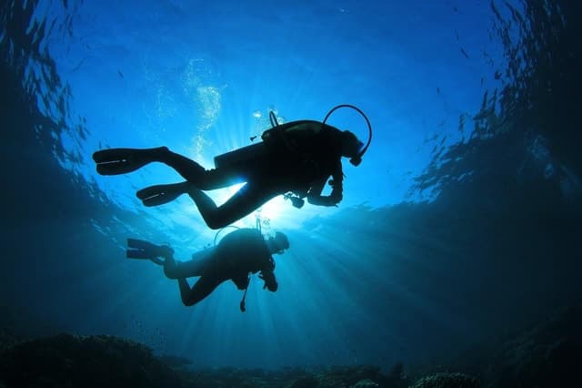 Top Rated Discover Scuba Diving Tours