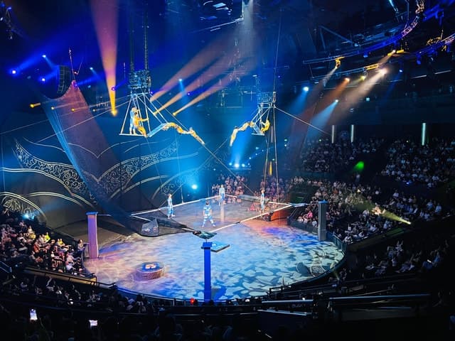 Unforgettable Shanghai Acrobatic Show: Top Shanghai Experience