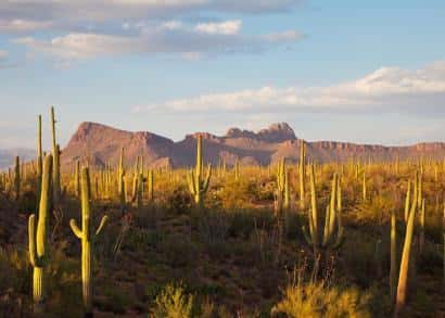 Explore Phoenix: The Ultimate Valley of the Sun Guide