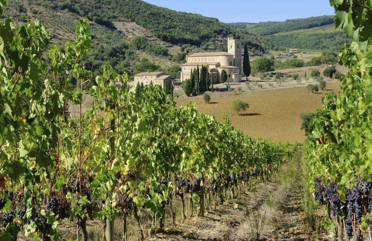 Experience the Best of Siena: Tours & Historic Attractions