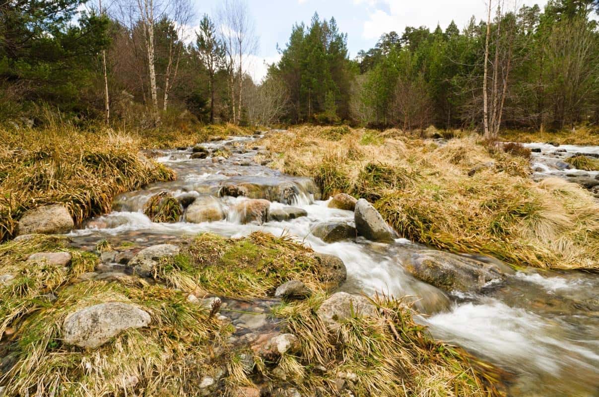 Aviemore Travel Guide: Adventure in the Scottish Highlands