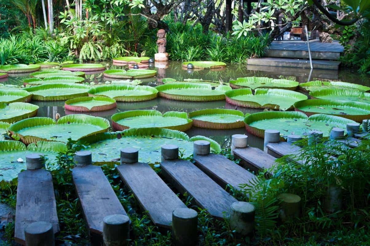 Mauritius Travel Guide: Best Things to Do & See
