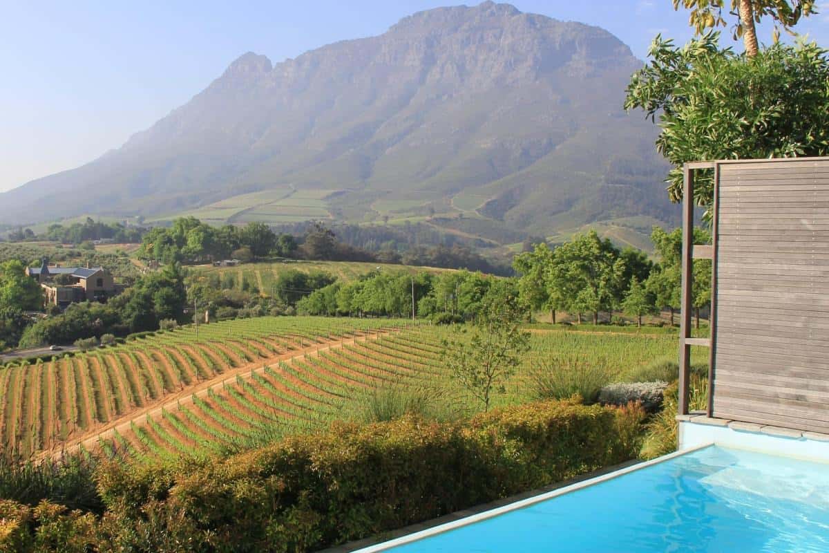 Ultimate Stellenbosch Wine & Adventure Guide