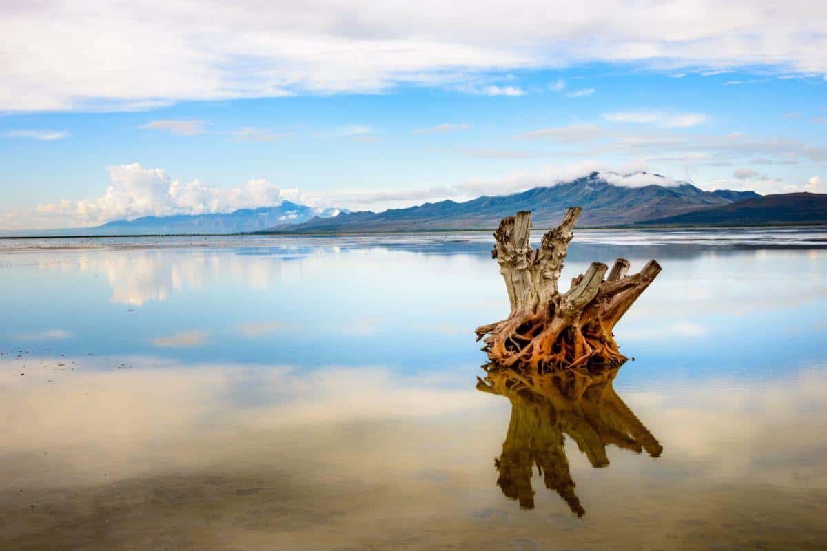 Experience the Best of Salt Lake City, Utah