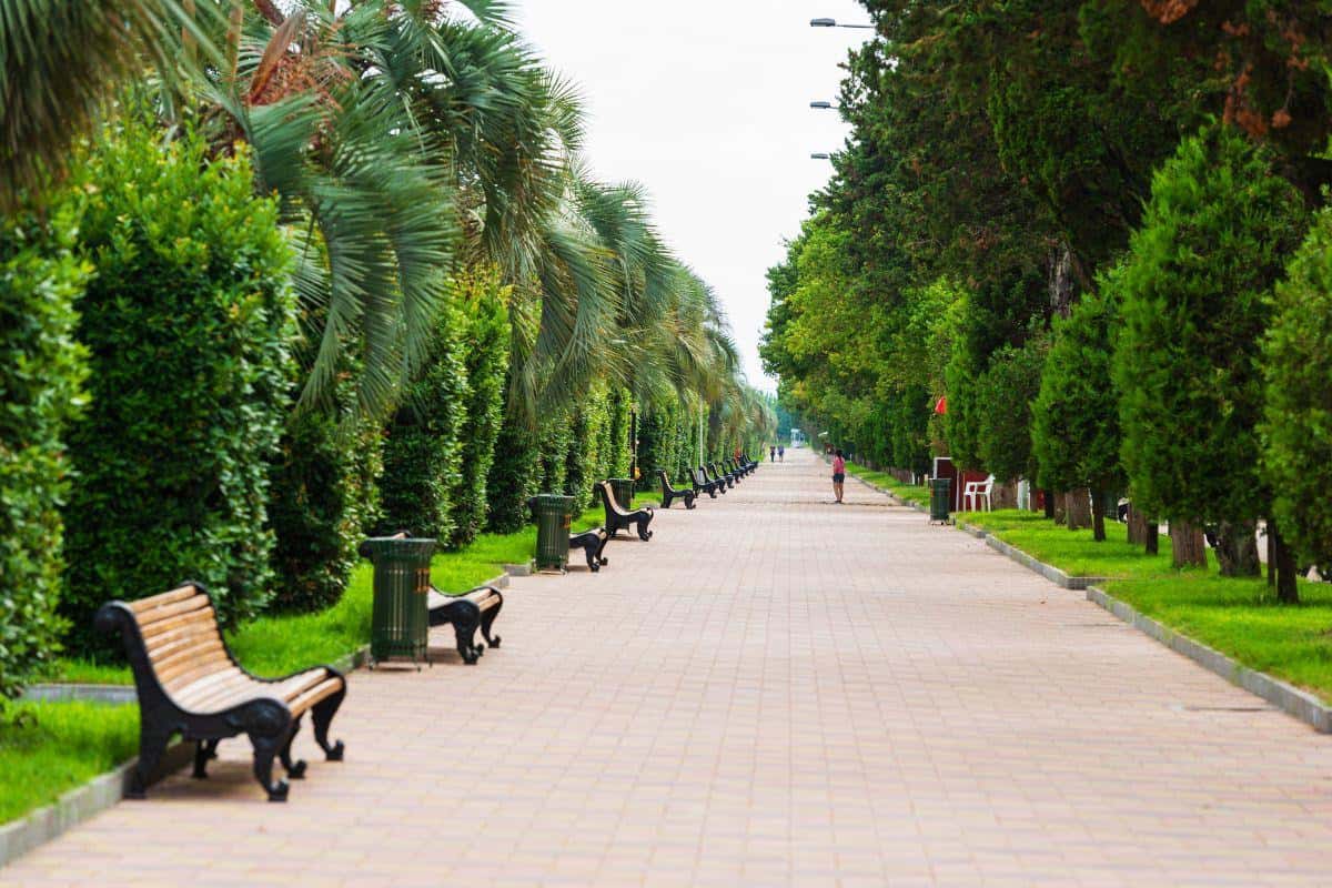 Batumi Travel Guide: Black Sea Coastal Adventures