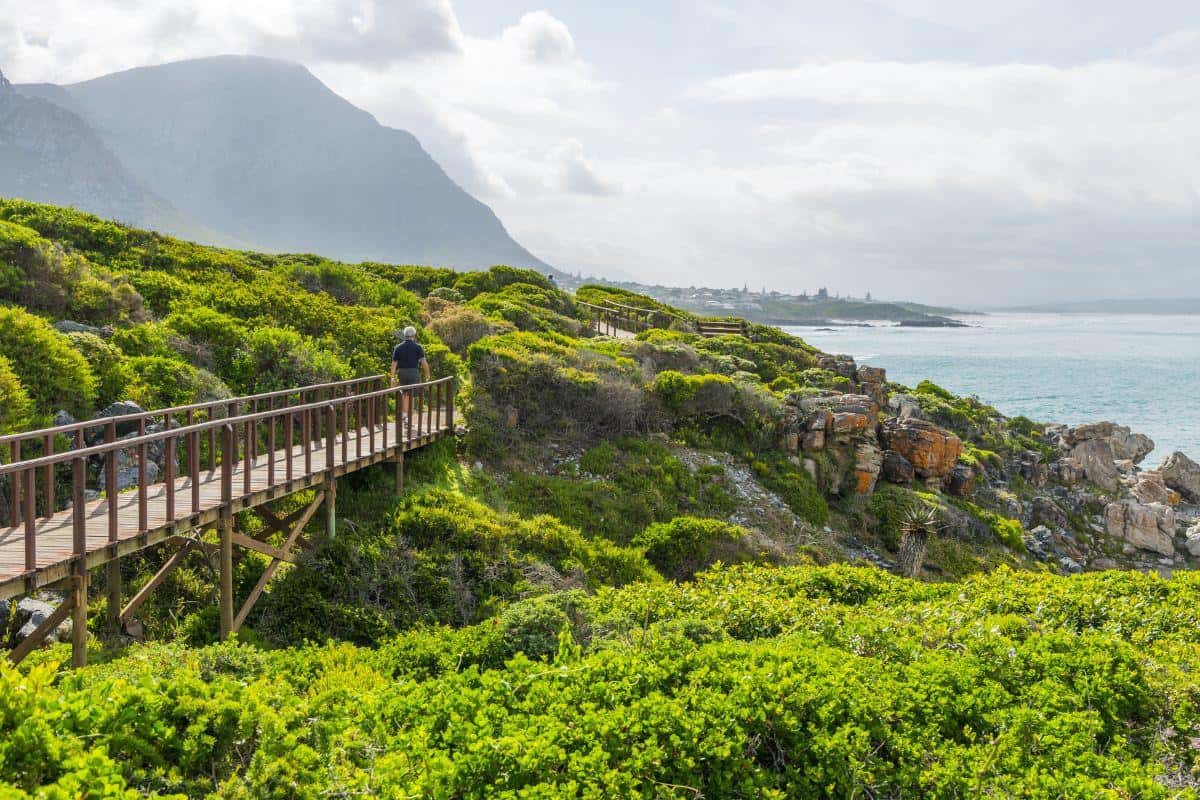 Hermanus Travel Guide: Whale Watching & Coastal Bliss