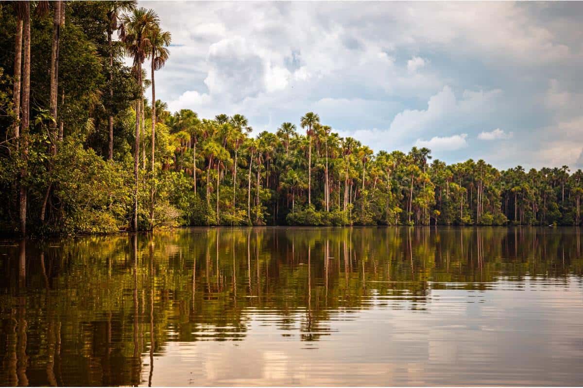 Puerto Maldonado: Your Gateway to Amazon Adventures