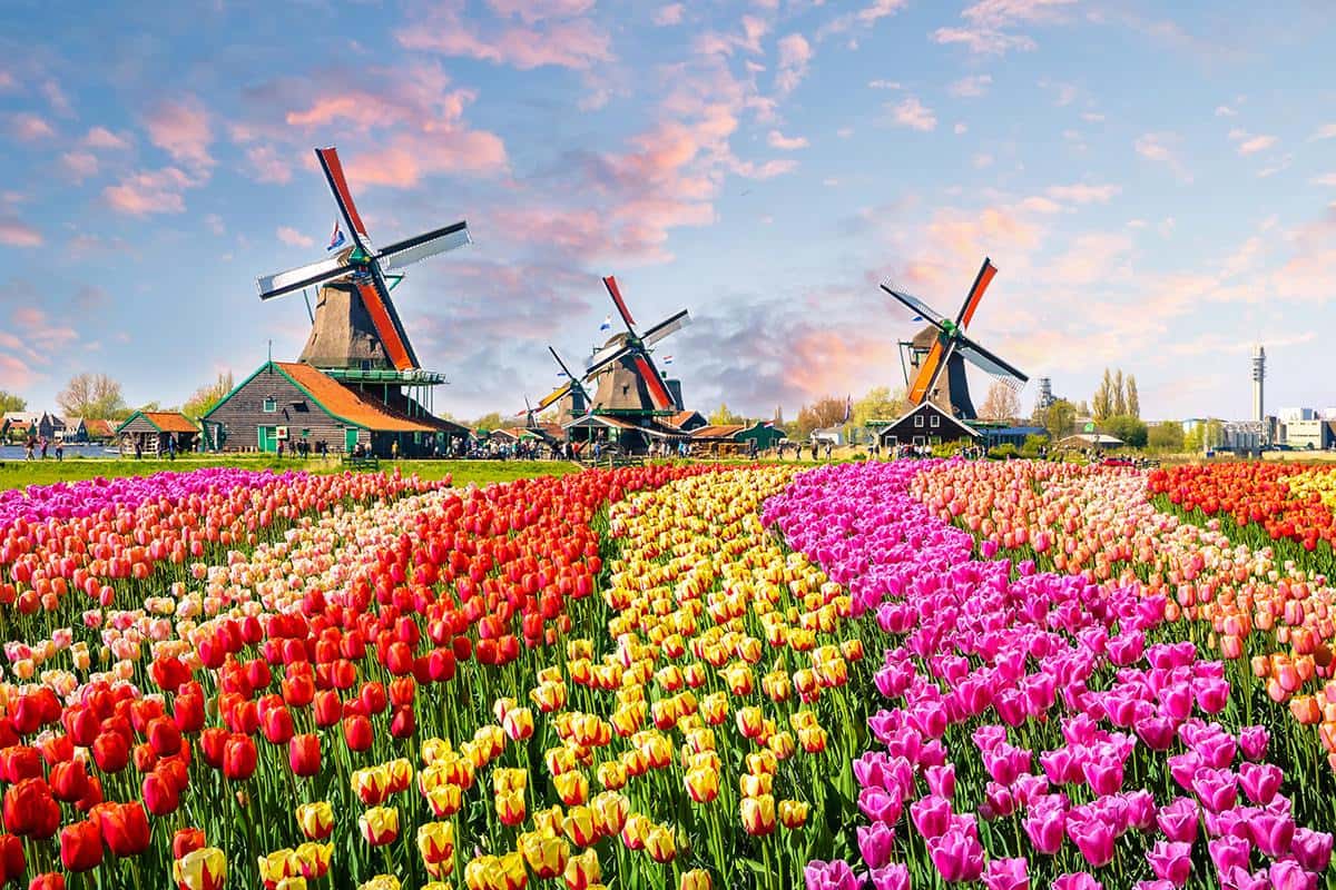 Explore Zaandam: Iconic Architecture & Dutch Charm