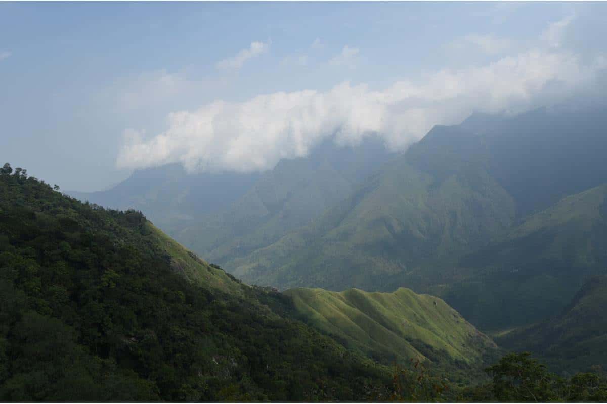 Munnar Travel Guide: Tea Gardens & Misty Mountains
