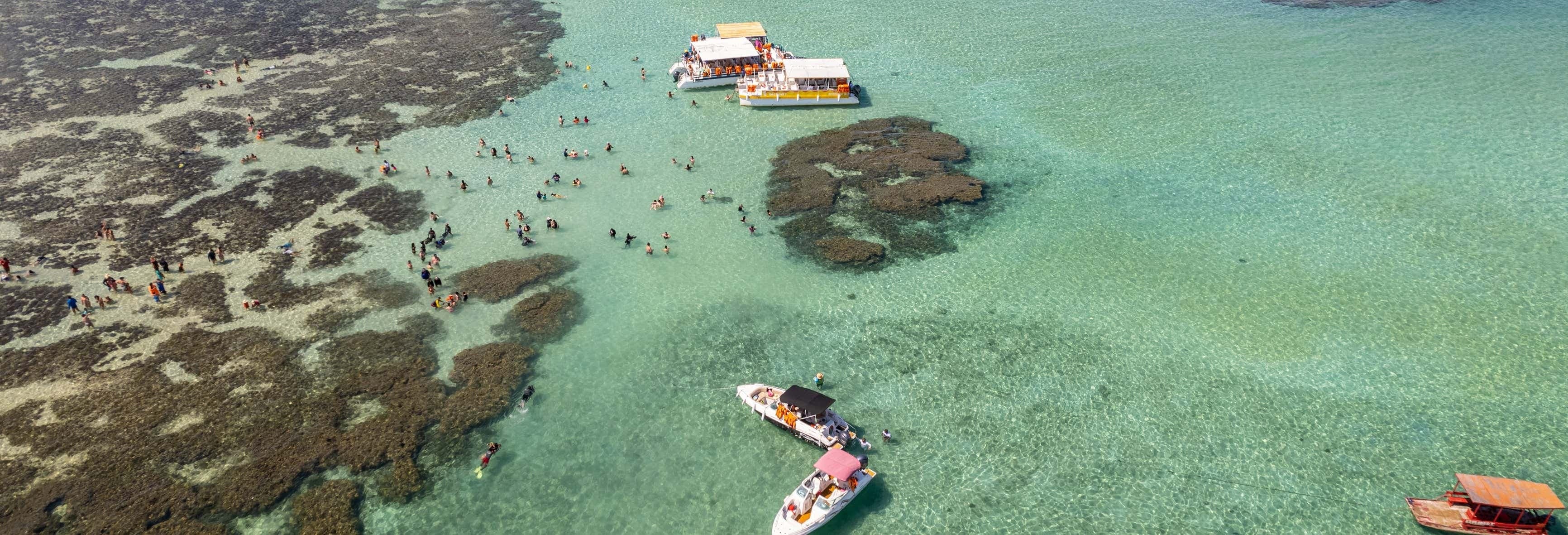 Unforgettable Maragogi Natural Pools Snorkeling Adventure