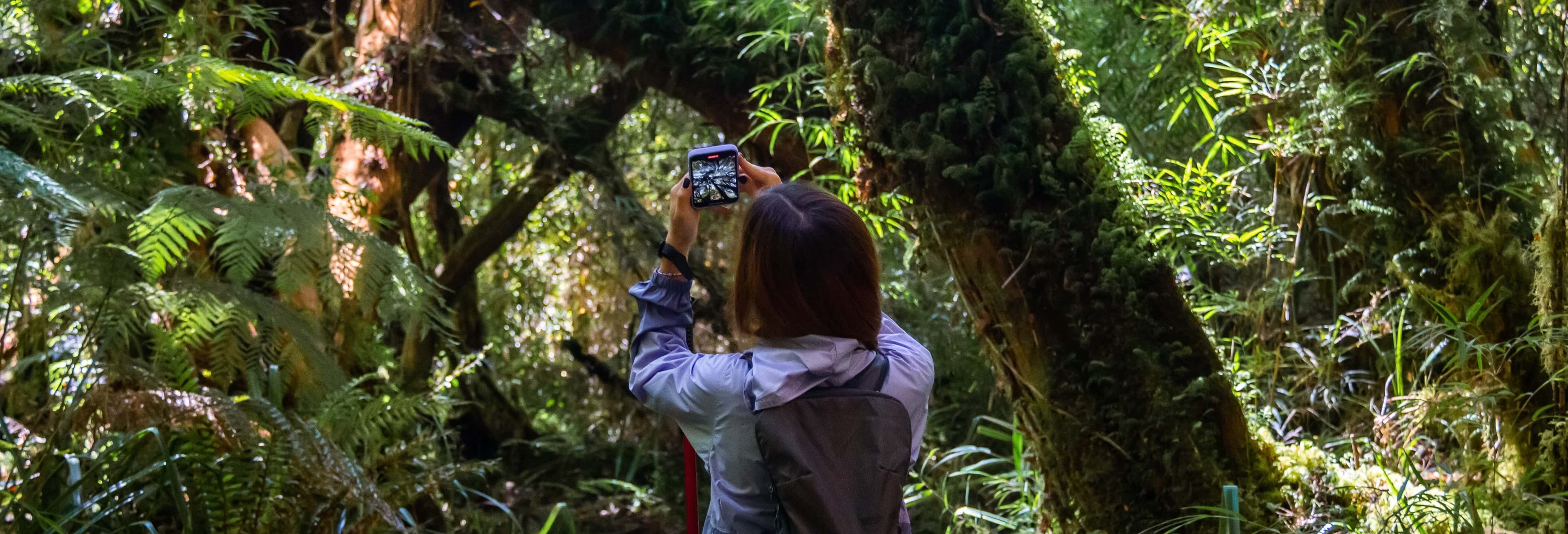 Compare Best Tepuhueico Tours from Castro