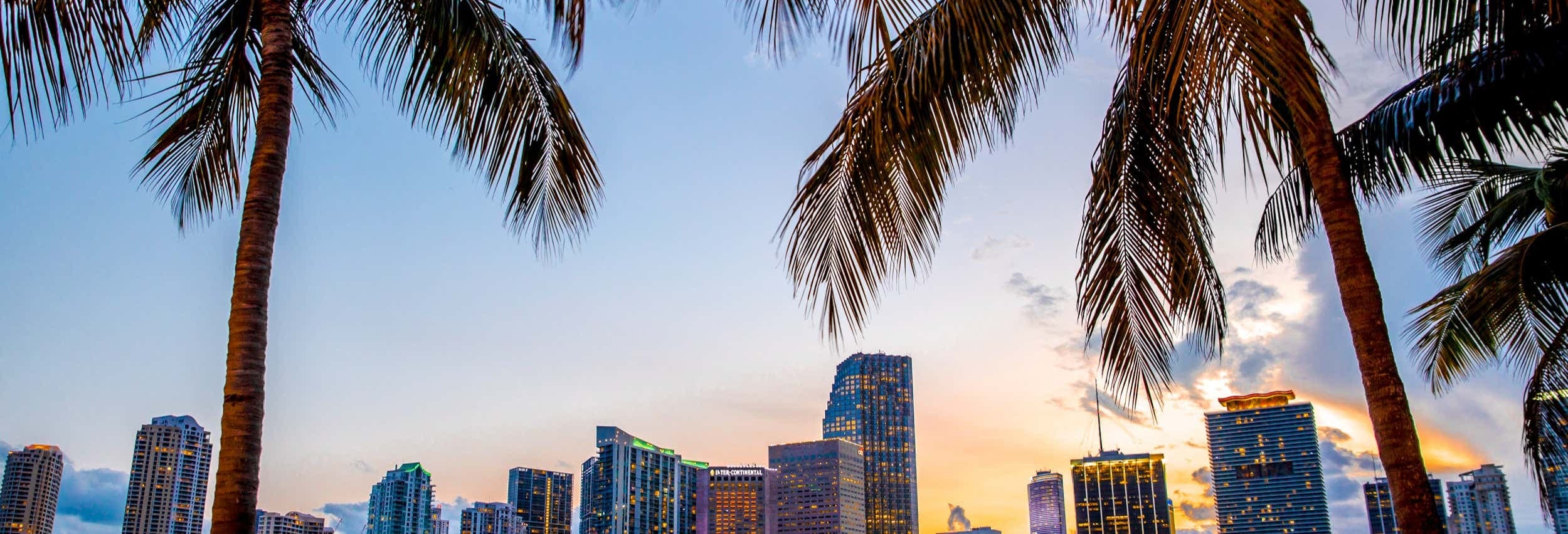 Miami City Tour - Fort Lauderdale