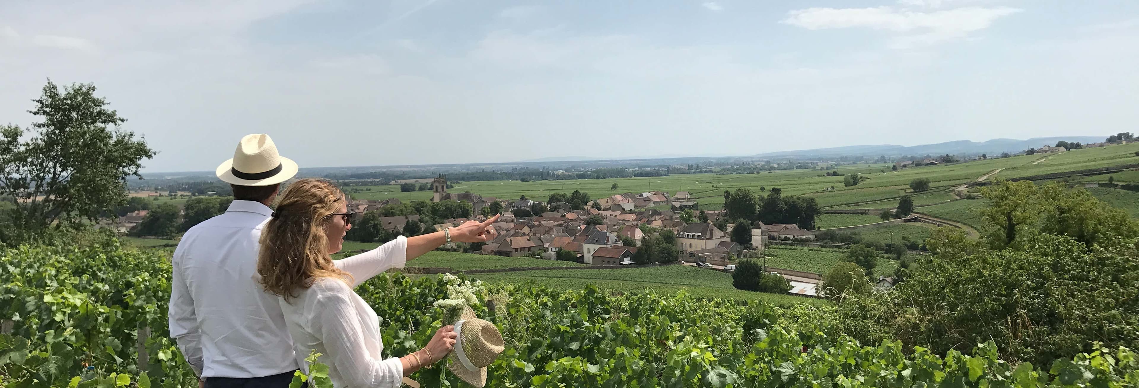 Burgundy Wine Tastings from Dijon: Unmissable Tour