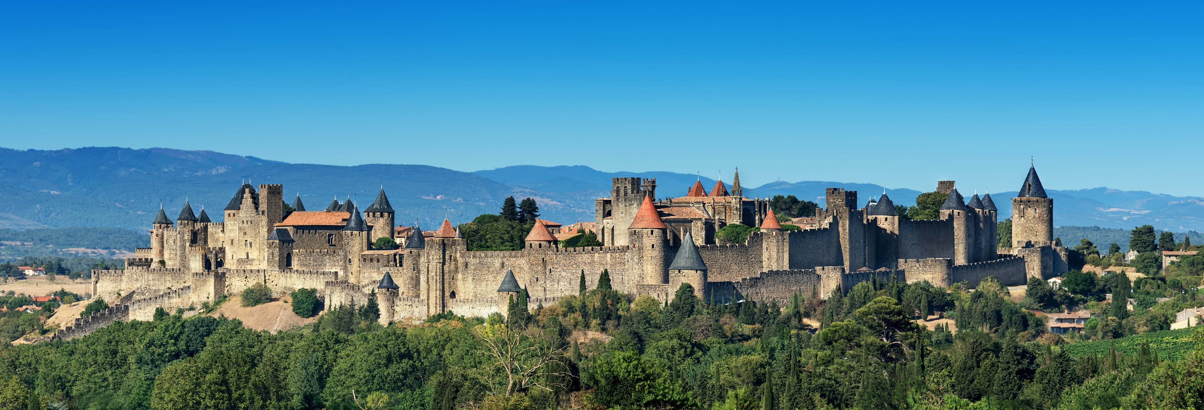 Carcassonne Day Trip