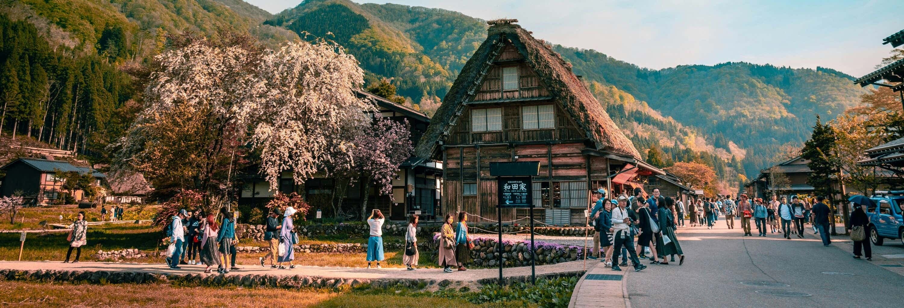 Compare Best Shirakawago & Kanazawa Tours from Tokyo