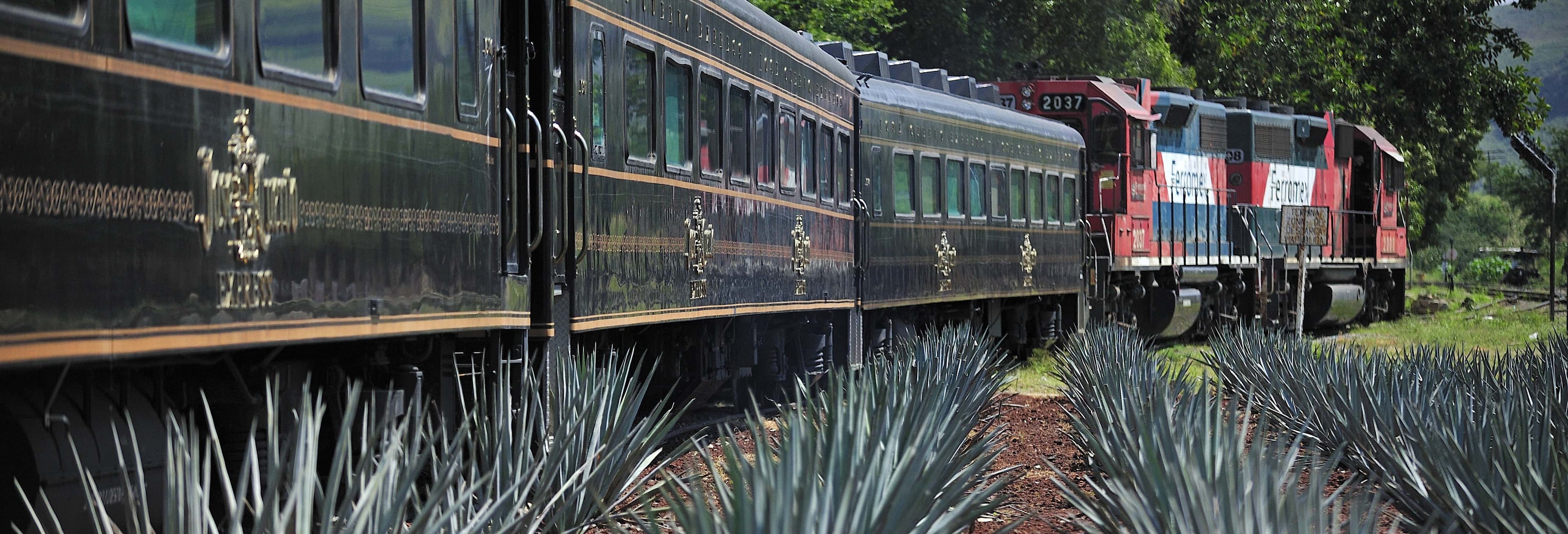 Jose Cuervo Express