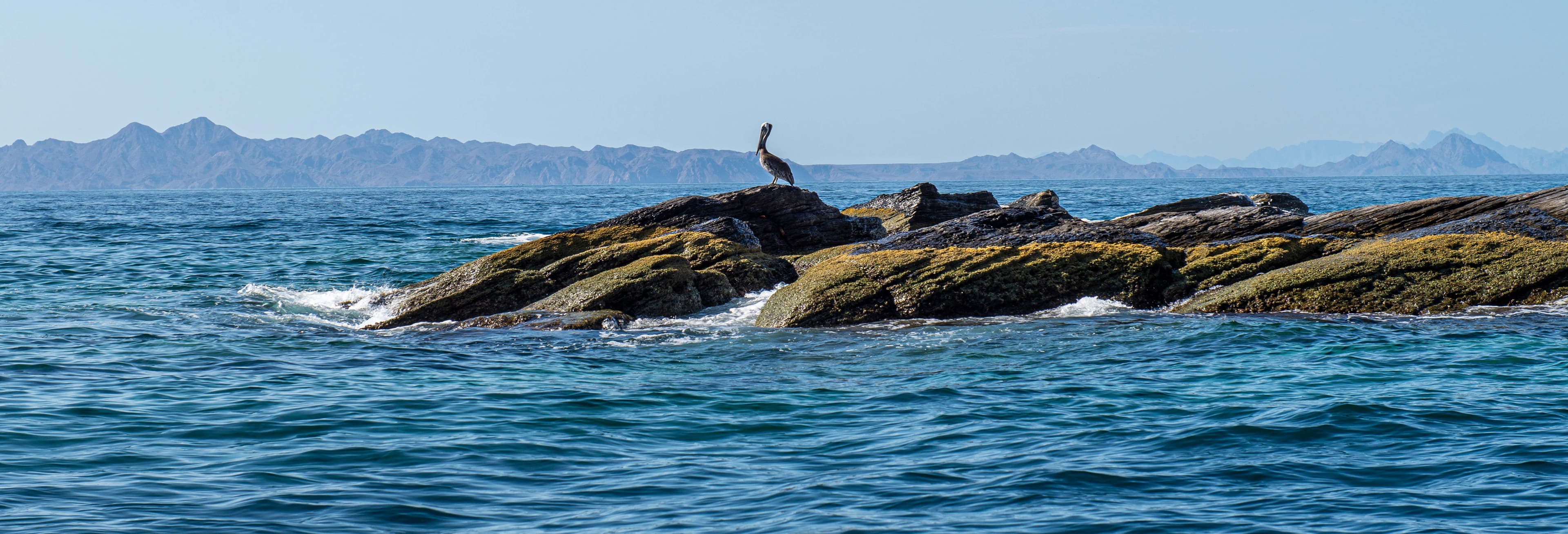 Coronado Island Tour - Loreto