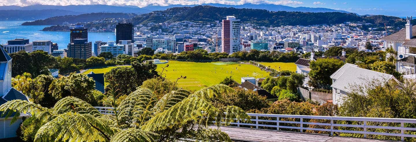 Wellington City Tour