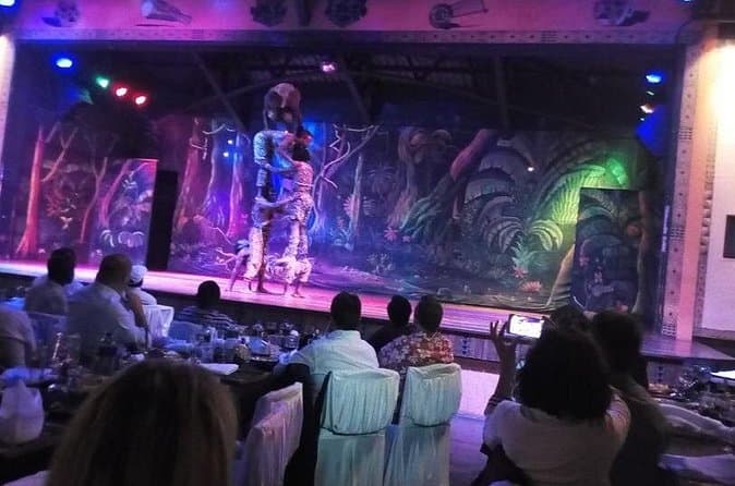 Book Safari Cat Dancers Show Tours