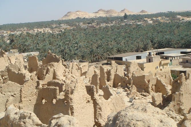Siwa Oasis Tour
