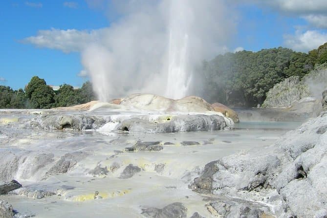 Auckland to Rotorua: Geothermal & MÄori Highlights