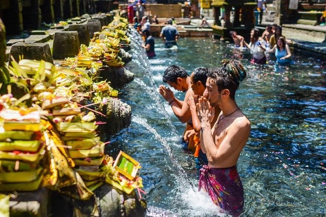 Ubud Tour: Culture & Nature Escape
