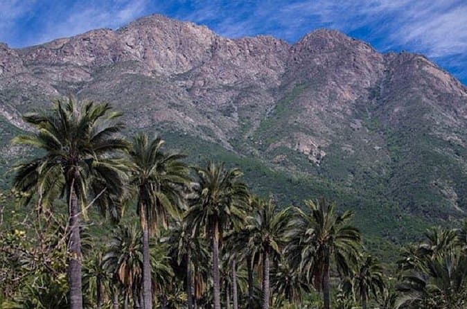 Compare Best La Campana Ascent Tours in Santiago