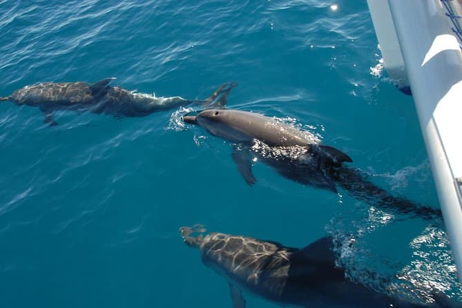 Eco-Sailing Fraser Island: Unforgettable Hervey Bay Tours