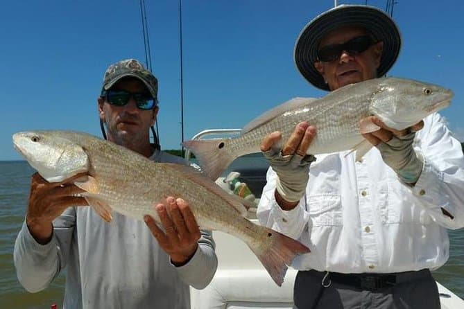 Best Scalloping Adventures in Crystal River, Florida