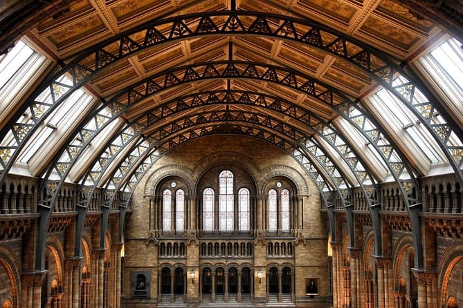 Best Guided London Natural History Museum Tours & Experiences