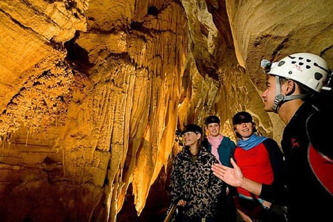 Best Waitomo Glowworm Caves Tours & Auckland Day Trips