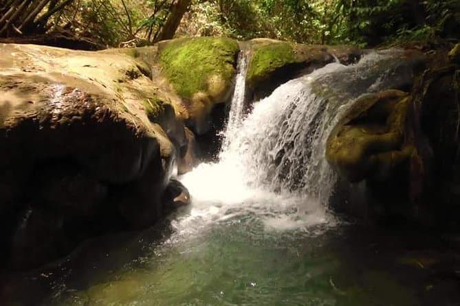 Unforgettable Mayfield Falls Adventure in Montego Bay