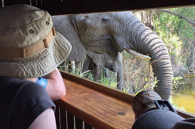 Best Kruger Safari Tours from Skukuza
