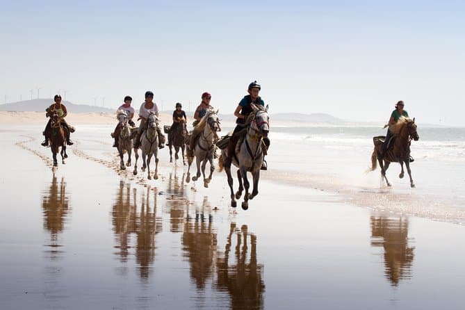 Ride the Atlantic Coast: Best Essaouira Horseback Tours