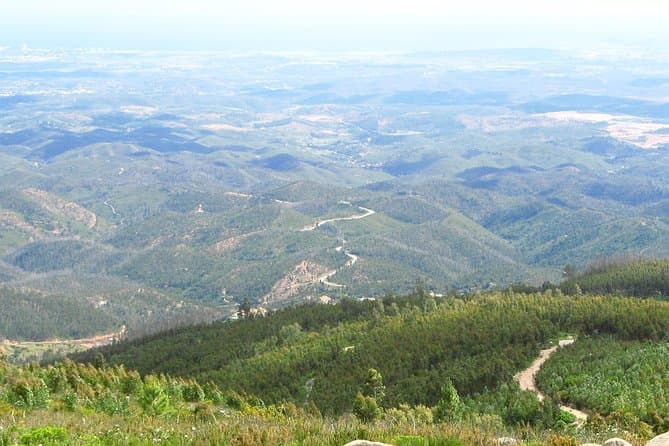 PortimĂŁo Wine Tasting Experience in the Algarve