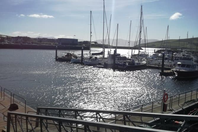 Dingle Peninsula Tour - Killarney