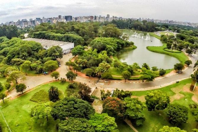Exclusive Private Tours: Explore Santos & São Paulo