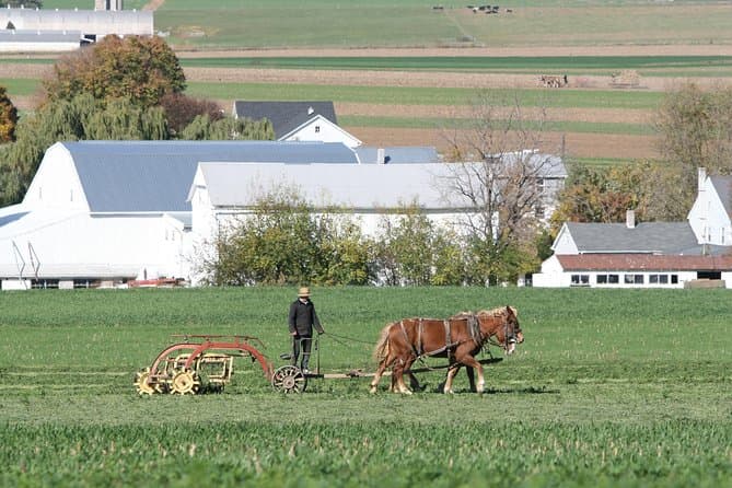 Unforgettable Lancaster Amish Country Cultural Adventures