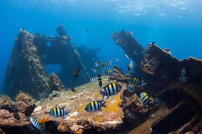 Boga Wreck Dive Tulamben Travel Guide