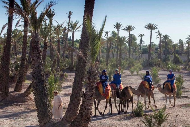 Palmeraie Camel Ride
